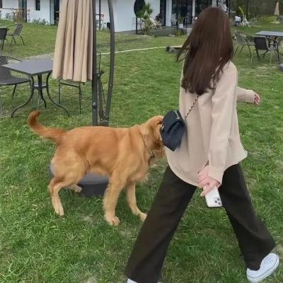 小镇谋杀案
